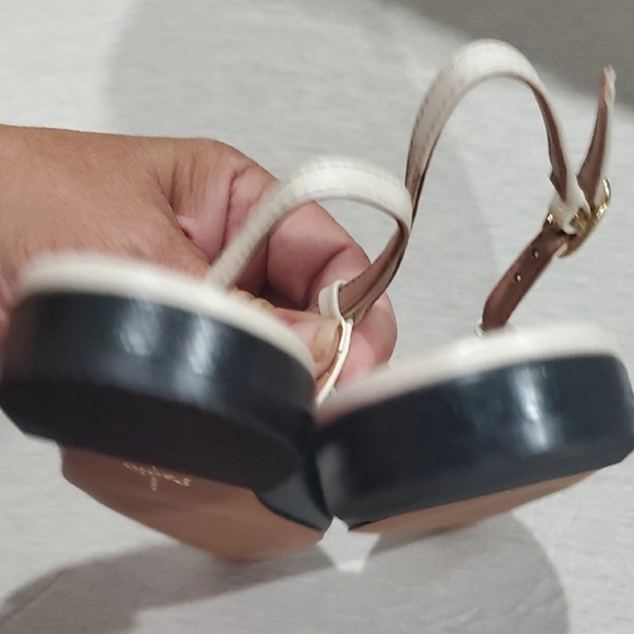 Paolo Black and White Pointed Flats - Picture 8 of 9